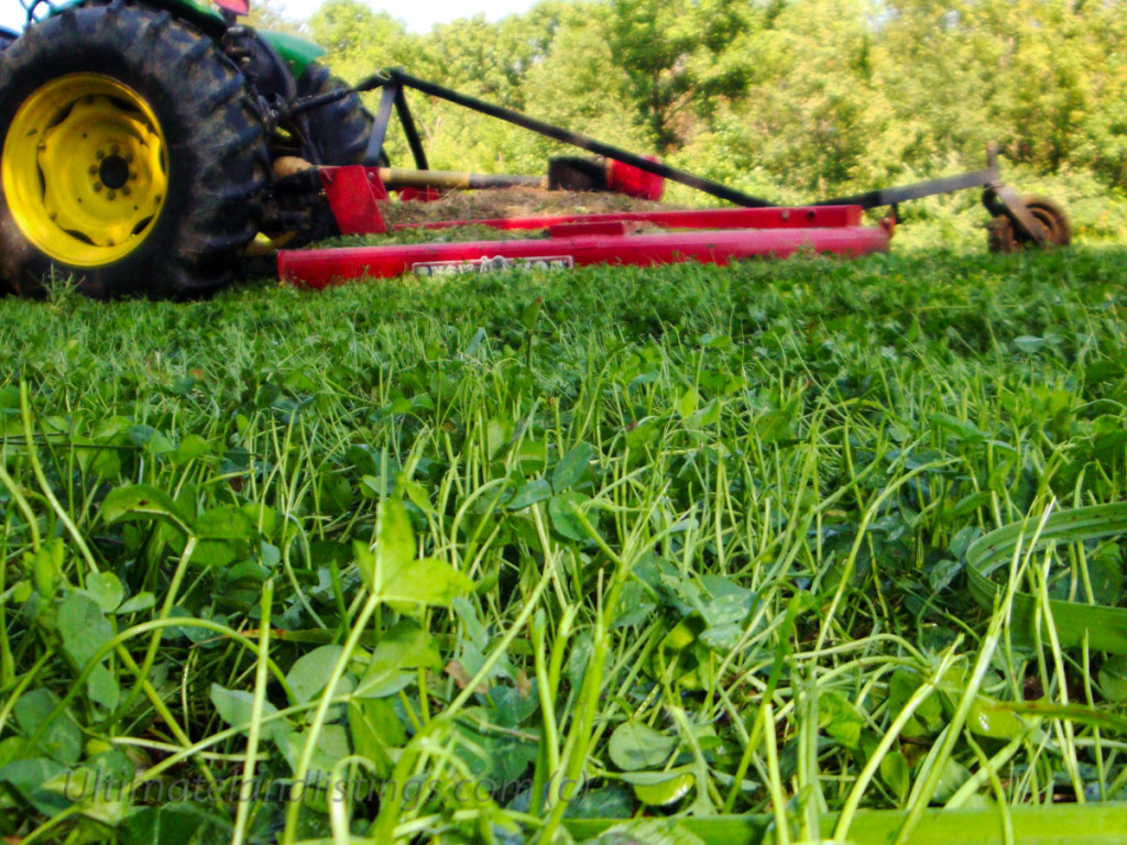 clover field being mowed with tractor.